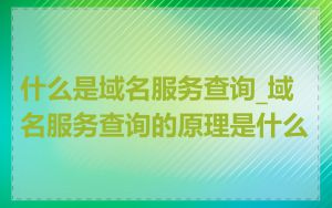 什么是域名服务查询_域名服务查询的原理是什么