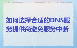 如何选择合适的DNS服务提供商避免服务中断