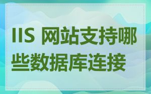 IIS 网站支持哪些数据库连接