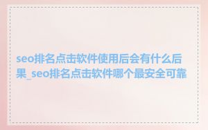 seo排名点击软件使用后会有什么后果_seo排名点击软件哪个最安全可靠