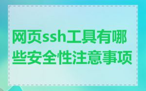 网页ssh工具有哪些安全性注意事项