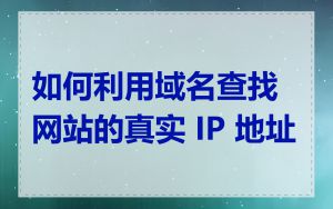 如何利用域名查找网站的真实 IP 地址