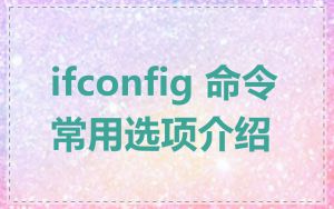 ifconfig 命令常用选项介绍