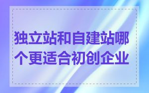 独立站和自建站哪个更适合初创企业