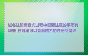 域名注册商查询过程中需要注意的事项有哪些_在哪里可以查看域名的注册商是谁