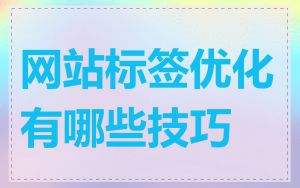 网站标签优化有哪些技巧