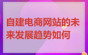 自建电商网站的未来发展趋势如何