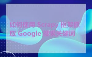 如何使用 Scrapy 框架抓取 Google 搜索关键词