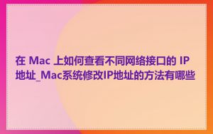 在 Mac 上如何查看不同网络接口的 IP 地址_Mac系统修改IP地址的方法有哪些