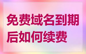 免费域名到期后如何续费