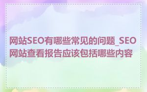 网站SEO有哪些常见的问题_SEO网站查看报告应该包括哪些内容