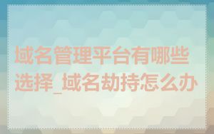 域名管理平台有哪些选择_域名劫持怎么办