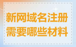 新网域名注册需要哪些材料
