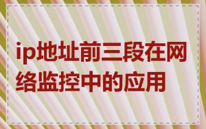 ip地址前三段在网络监控中的应用