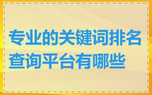 专业的关键词排名查询平台有哪些