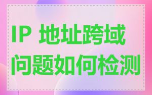 IP 地址跨域问题如何检测