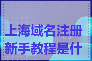 上海域名注册新手教程是什么