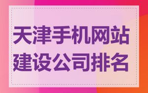 天津手机网站建设公司排名