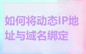 如何将动态IP地址与域名绑定