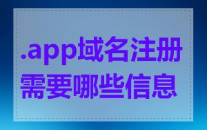 .app域名注册需要哪些信息