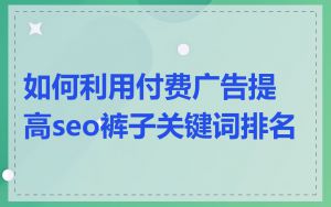 如何利用付费广告提高seo裤子关键词排名
