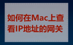 如何在Mac上查看IP地址的网关