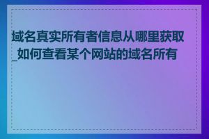域名真实所有者信息从哪里获取_如何查看某个网站的域名所有者