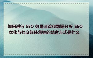 如何进行 SEO 效果追踪和数据分析_SEO 优化与社交媒体营销的结合方式是什么