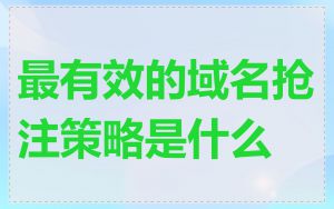 最有效的域名抢注策略是什么