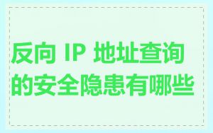 反向 IP 地址查询的安全隐患有哪些