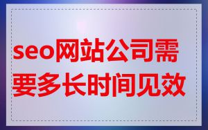 seo网站公司需要多长时间见效