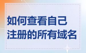 如何查看自己注册的所有域名