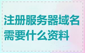 注册服务器域名需要什么资料