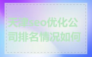 天津seo优化公司排名情况如何