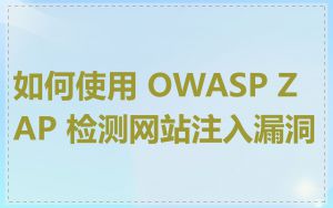 如何使用 OWASP ZAP 检测网站注入漏洞