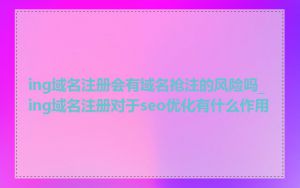 ing域名注册会有域名抢注的风险吗_ing域名注册对于seo优化有什么作用