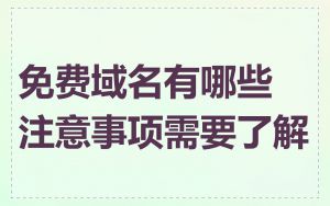 免费域名有哪些注意事项需要了解