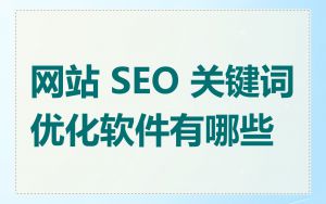 网站 SEO 关键词优化软件有哪些