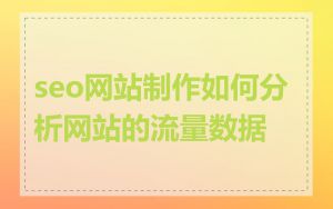seo网站制作如何分析网站的流量数据