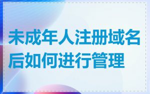 未成年人注册域名后如何进行管理