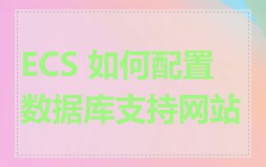 ECS 如何配置数据库支持网站