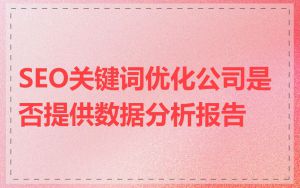SEO关键词优化公司是否提供数据分析报告