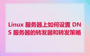 Linux 服务器上如何设置 DNS 服务器的转发器和转发策略