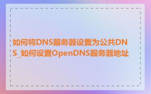 如何将DNS服务器设置为公共DNS_如何设置OpenDNS服务器地址