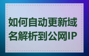 如何自动更新域名解析到公网IP