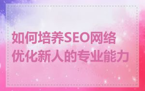 如何培养SEO网络优化新人的专业能力