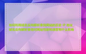 如何利用域名反向解析查找网站的历史 IP 地址_域名反向解析查询对网站性能和速度有什么影响