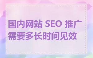 国内网站 SEO 推广需要多长时间见效