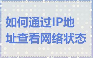 如何通过IP地址查看网络状态