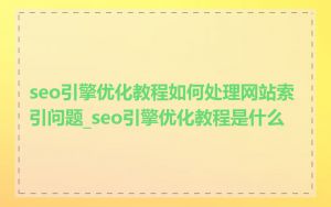 seo引擎优化教程如何处理网站索引问题_seo引擎优化教程是什么